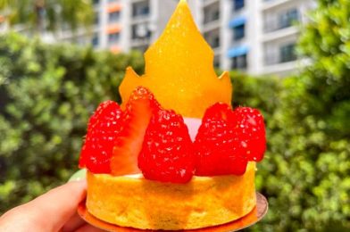 The Cupcake That’ll Satisfy Almost Everyone in Disney World (Keyword: ALMOST)