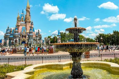 PHOTOS: 8 Disney World Construction Updates You Need to See