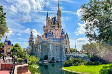 How You Should Spend Your Money in Magic Kingdom