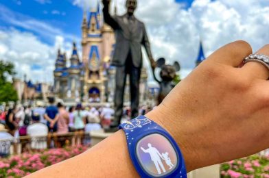 HURRY! Disney Just Dropped 17 NEW MagicBand+ Designs ONLINE!