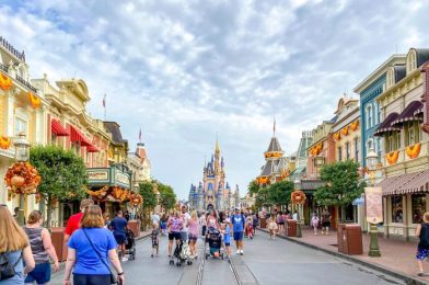 1 Disney World Attraction Will REOPEN This Week as 8 Others Remain CLOSED
