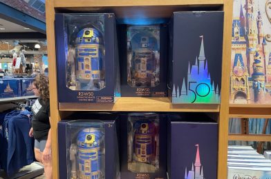 New R2-W50 50th Anniversary Interactive ‘Star Wars’ Droid at Walt Disney World