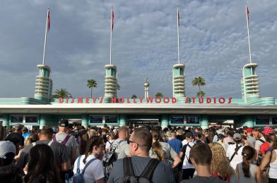 PHOTO REPORT: Disney’s Hollywood Studios 8/12/22 (‘Indiana Jones’ Artifacts, Haunted Mansion Ornaments, The Hollywood Tower Hotel Tervis, & More)