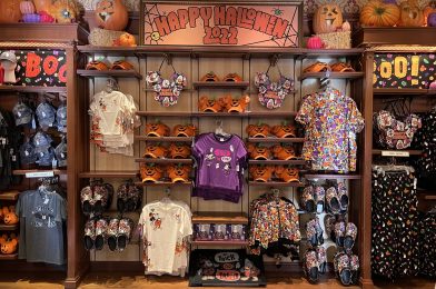 PHOTO REPORT: Magic Kingdom 8/22/22 (Bibbidi Bobbidi Boutique Soft Opens, Emperor’s New Groove Dooney & Bourke Collection, World Princess Week Treats, & More)