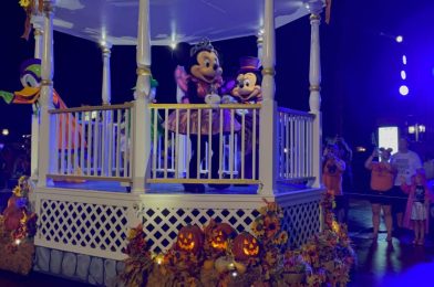 Br’er Fox & Br’er Bear Removed from Mickey’s Boo-To-You Halloween Parade at Magic Kingdom