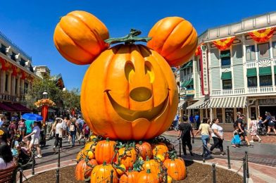 We Found a Top Contender for the BEST Halloween Treat in Disneyland!