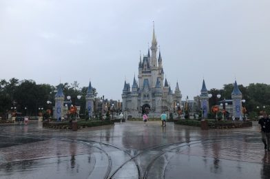 Florida Governor Declares State of Emergency for Portions of Walt Disney World Ahead of Tropical Depression Nine