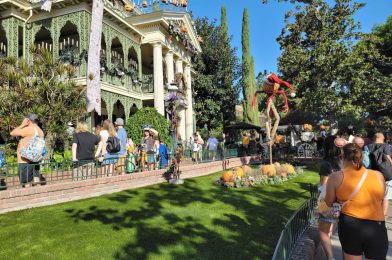 PHOTOS, VIDEO: Haunted Mansion Holiday Returns for Halloween Time 2022 at Disneyland
