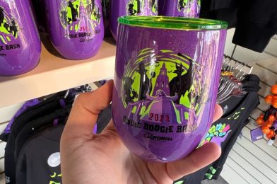 All New Oogie Boogie Bash 2022 Merchandise (with Prices) From Disney California Adventure
