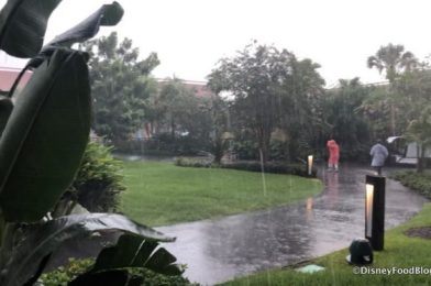 Potential Hurricane Causing Precautionary Changes at Orlando Airport