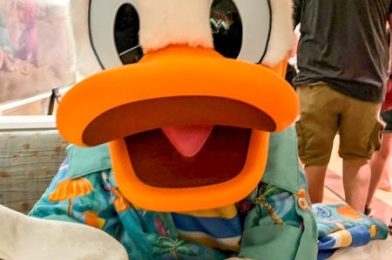 Ranking the Best Character Dining in Disney World for 2022 and 2023