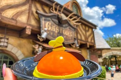 Our List of WARNINGS For Disney World’s Newest Treat