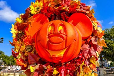 5 Things That Will Be DIFFERENT in Disney World in October