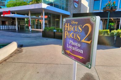 PHOTO REPORT: Disneyland Resort 9/27/22 (Paradise Pier Lobby Closes, Painting in Toontown, Disneyland Hotel DVC Construction, Ol’ Unfaithful Back to Life, and More)