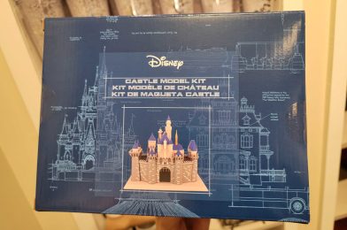 Sleeping Beauty Castle Model Kit Now Available at Downtown Disney