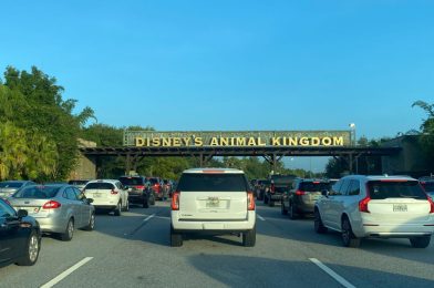 Following a Night of Underage Drinking at Orlando Clubs, Teenager Speeds Into Disney’s Animal Kingdom While Extremely Intoxicated