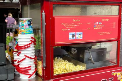 Disney KiteTails Popcorn Bucket Available at Magic Kingdom After Show’s Closing