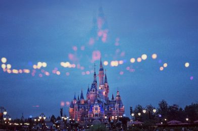 Shanghai Disney in Lockdown, Guests Unable to Leave without Negative COVID-19 Result