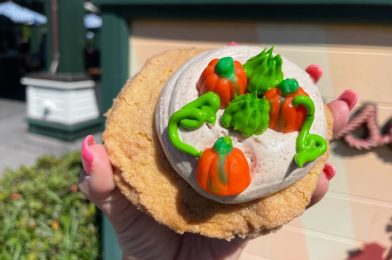 REVIEW: New Pumpkin Patch Cookie From Catalina Eddie’s at Disney’s Hollywood Studios