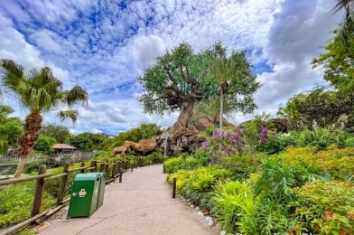 What’s New at Disney’s Animal Kingdom: A FUZZY Loungefly Backpack and 50th Anniversary Ears