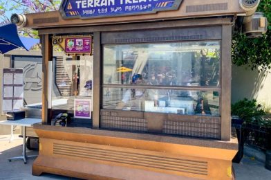 REVIEW: The Hot Chocolate Churro From Terran Treats at Festival of Holidays in Disneyland Resort