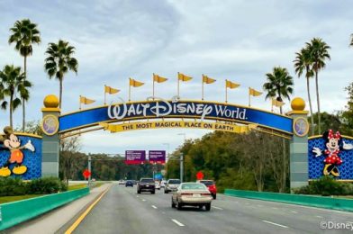 Disney Reports HUGE Jump in Hotel Guest Spending