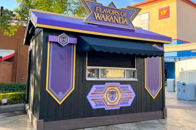 REVIEW: Flavors of Wakanda Food Booth at Disneyland Resort