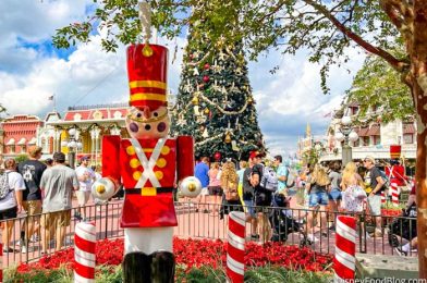 Attention Caramel Lovers! We’ve Found Your Christmas Snack in Disney World