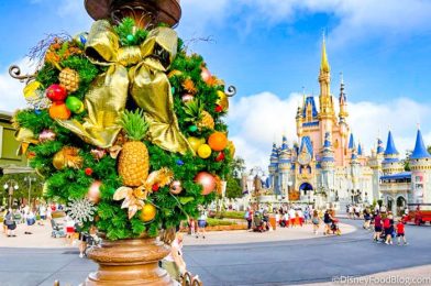 We’re LIVE From the First 2022 Mickey’s Very Merry Christmas Party — Come Along With Us!