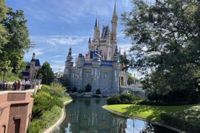 Walt Disney World Cast Member Union Plans To Protest Over Low Wages