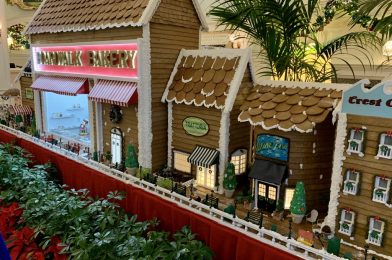 Gingerbread Display Returns to Contemporary