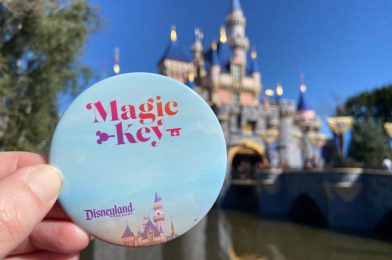 UPDATE: Disneyland Halts All Magic Key Sales Again