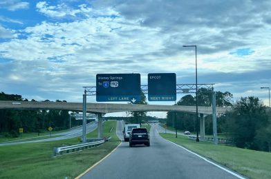 Yet Another Purple Road Sign Replaced Near EPCOT