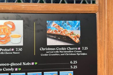 REVIEW: Christmas Cookie Churro Just Needs a Glass of Milk at Magic Kingdom