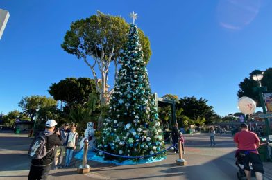 Christmas Tree Arrives at Downtown Disney District