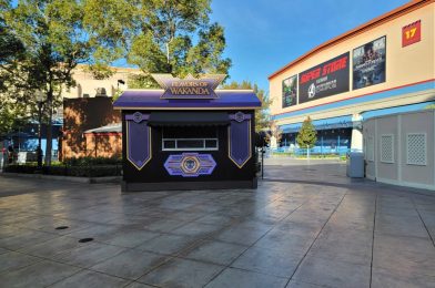 Flavors of Wakanda Food Booth Erected in Disney California Adventure