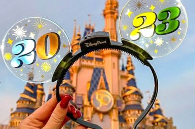 VIDEO: Watch the New Year’s Eve Countdown in Disney World!