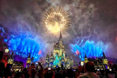 A Year of Disney World News — See the Biggest 2022 Changes