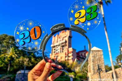The 5 Best Things to Do in Disney World in January