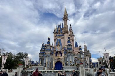 PHOTO REPORT: Magic Kingdom & Disney’s Hollywood Studios 12/26/2022 (More Disney 100 Merchandise, 2023 Glow Ears, Carousel Coffee Signage Installed, & More)