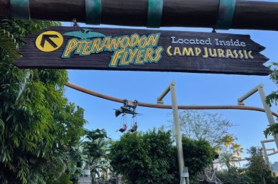 Pteranodon Flyers Reopens Ahead of Schedule at Universal’s Islands of Adventure