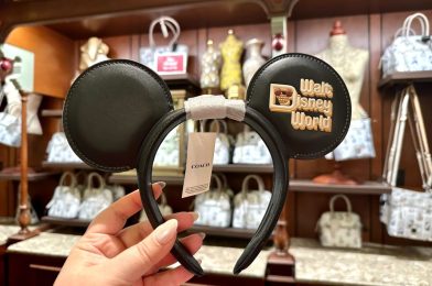 New Walt Disney World Coach Ear Headband Arrives at Magic Kingdom