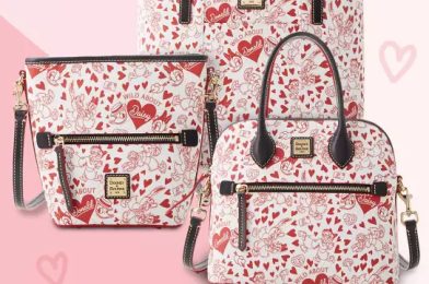 Valentine’s Day Donald and Daisy Duck Dooney & Bourke Bags Coming Soon to Disney Parks