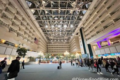 A New Nonstop Route Has Been Added for Orlando International Airport