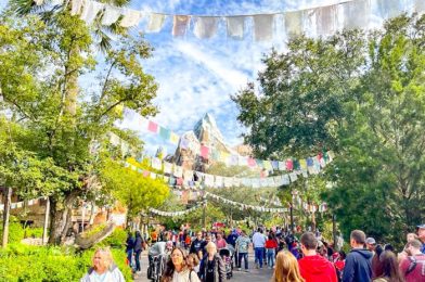DFB Video: 15 Mistakes to Avoid in Disney World in 2023
