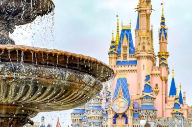 We Bet You Didn’t Know This Magic Kingdom HACK