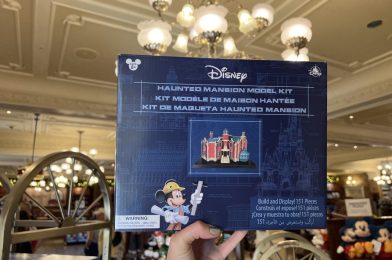 PHOTO REPORT: Magic Kingdom 1/3/23 (Haunted Mansion Model Set, 100 Years of Wonder Pandora Charm Set, Roofing and Sides Removed During Cake Bake Shop Renovations, & More)