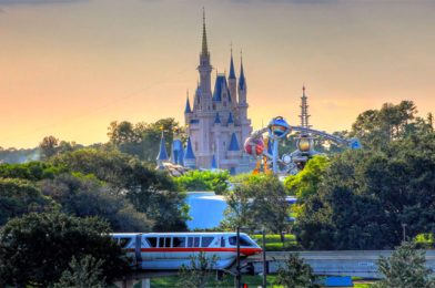 Disney World Play, Stay and Dine 2023