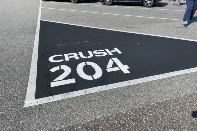 PHOTOS: New EPCOT Parking Lot Names Added to Rows