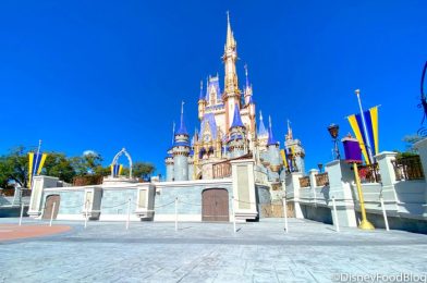 The One BIG Change Fans Want To See At Disney World
